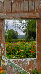 2022-08-30 Von Thun Sunflowers