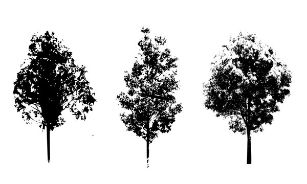 collection of trees vector on white background
