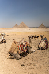 Egypt. In love with this rich country with so many beauty and historical places.