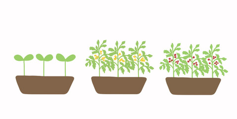 Spring Set of potted Plants, flower seedlings, Flat vector illustration