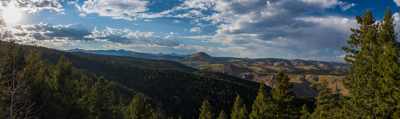 Mountain valley panorama with pine forest at sunset