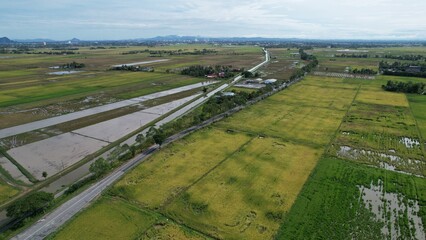 Tractors Ploughing The Paddy Rice Fields in Kedah, Malaysia