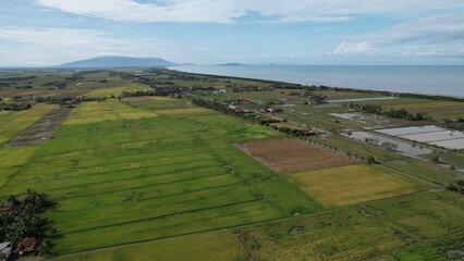 Obraz premium Tractors Ploughing The Paddy Rice Fields in Kedah, Malaysia