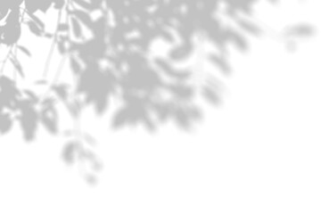 Obraz premium Shadow Overlay
