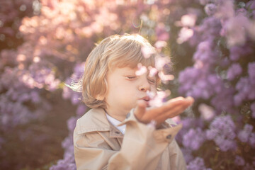 A little stylish boy dressed in a beige coat walks among flower trees in spring and the kid sneezes at the smell of flowering, allergy
