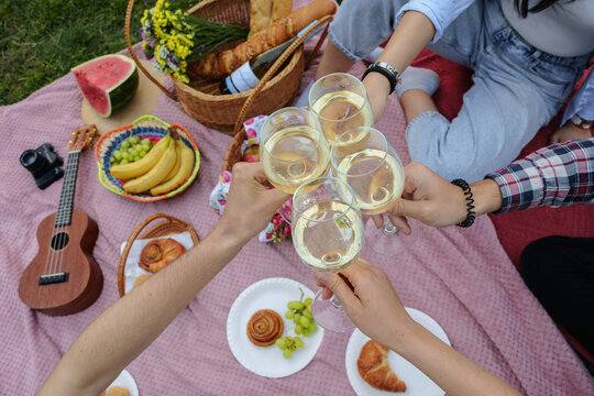 Shot of friends at picnic drinking champagne enjoying their holidays in summer park.
