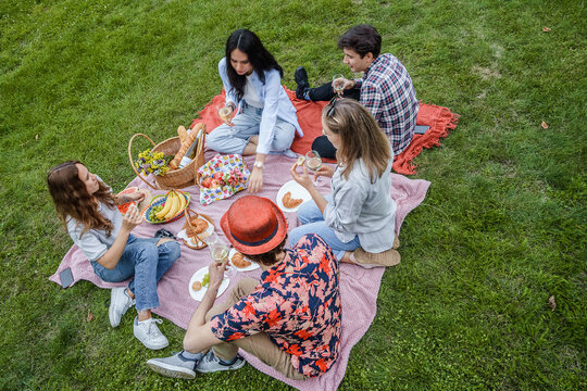 Shot of five students at picnic drinking and eating in natural summer park.