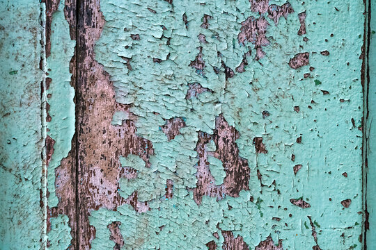 Colorful craquelure of the delaminated paint on wooden door background. Wooden texture background with old paint peels. Weathered wood. Cracked old paint with several layers. Shabby wooden wall.