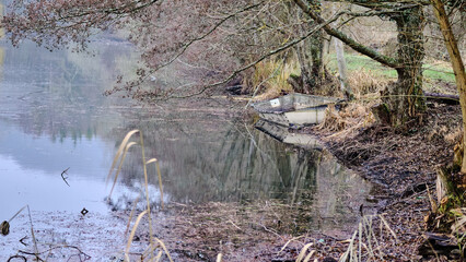 Grandes branches et la vieille barque sur le rivage de l'étang