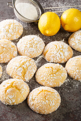 Sweet and sour lemon cookies with powdered sugar and zest close-up on the table. Vertical