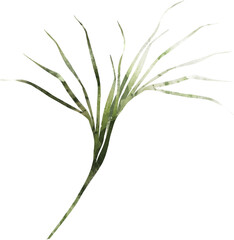 Tropical Exotic Floral Green Leaf Pastel Watercolor Jungle Transparent Background