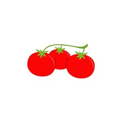 Tomato food icon isolated on white background