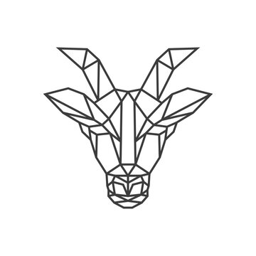goat Geometric Design. Antelope polygonal Logo Vector illustration