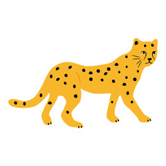 Isolated illustration of a walking cheetah