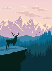 deer in the mountains