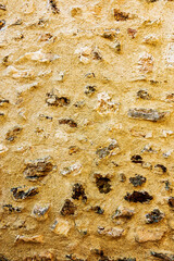 Vintage wall background useful for your design work