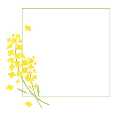 canola flowers frame illustration