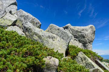 目の前に大きな花崗岩が積み重なる様になっている中央アルプス中岳の山頂
その先に木曽駒ヶ岳があります