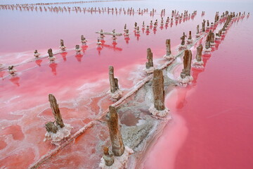 Pink salt lake Sasyk-Sivash, Crimea peninsula	 - 534131409