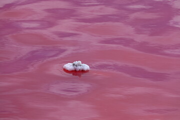 Pink salt lake Sasyk-Sivash, Crimea peninsula	 - 534131456
