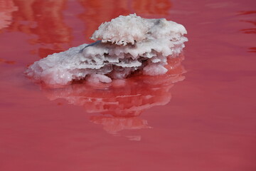 Pink salt lake Sasyk-Sivash, Crimea peninsula	 - 534131495