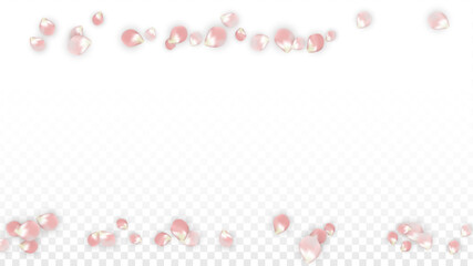 Pink Vector Realistic Petals Falling on Transparent Background.  Spring Romantic Flowers Illustration. Flying Petals. Sakura Spa Design. Blossom Confetti. Design Elements for Wedding Decoration.