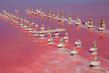 Pink salt lake Sasyk-Sivash, Crimea peninsula	 - 534131652