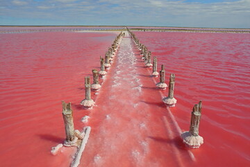Pink salt lake Sasyk-Sivash, Crimea peninsula	 - 534131687