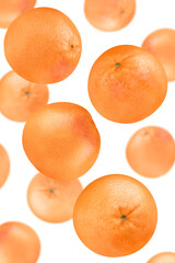 Levitation of grapefruits isolated on white background.