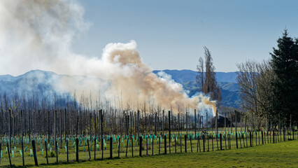 Smoke from an orchard prunings burn off bonfire billowing into the air.