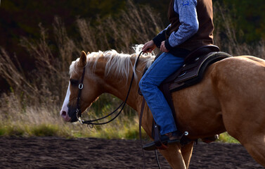 Detail Westernreiten