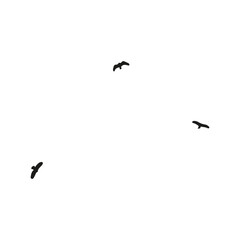 A Hand Drawn Flock of Flying Birds. Monochrome Bird Silhouettes.