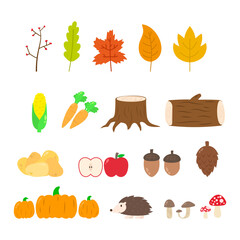 Set of autumn element vector illustration