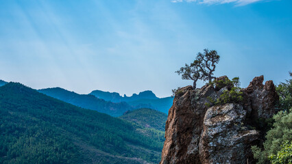 Col des trois termes, Massif de l'Esterel, France