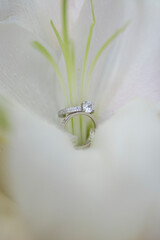 two gold wedding rings on a white floral background.