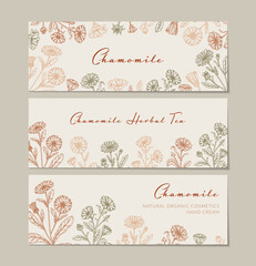 Set of chamomile horizontal packaging design with hand drawn elements. Vector illustration in sketch style