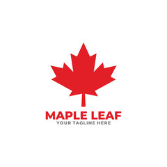 Maple leaf logo design vector