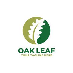 Oak leaf logo design vector