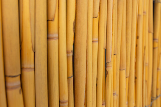 Bamboo fence background. Bamboo background photo. Selective focus