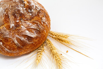 Baked bread and wheat. White background.