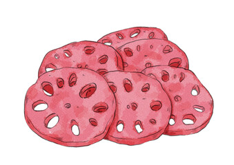 赤色の酢レンコンのイラスト（水彩風）