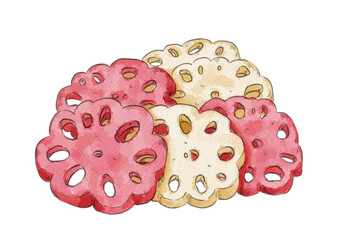 紅白色な花型の酢レンコンのイラスト（水彩風）