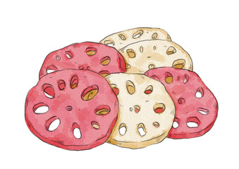 紅白色の酢レンコンのイラスト（水彩風）