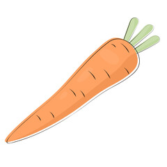 carrot illustration