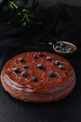 Delicious chocolate cake decorated with fresh blueberries