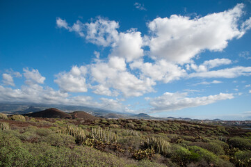 walking in the area of Las Galletas, Tenerife - Spain