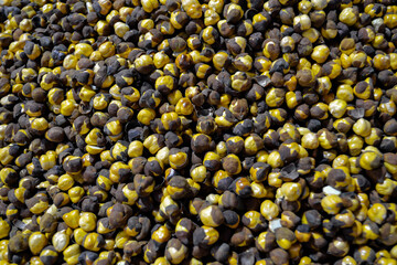 pile of roasted chickpea also known as black roasted gram or chana