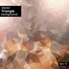 Vector Triangle background