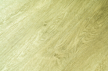 Texture of wood background closeup