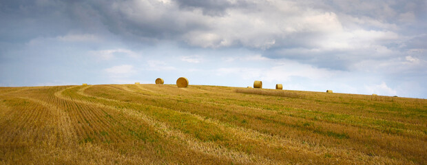 Bales of straw on the field, view to the horizon